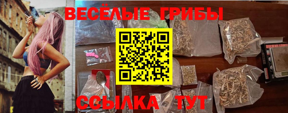Псилоцибиновые грибы GOLDEN TEACHER  Псилоцибиновые грибы GOLDEN TEACHER  Вход с VPN  Татарск 