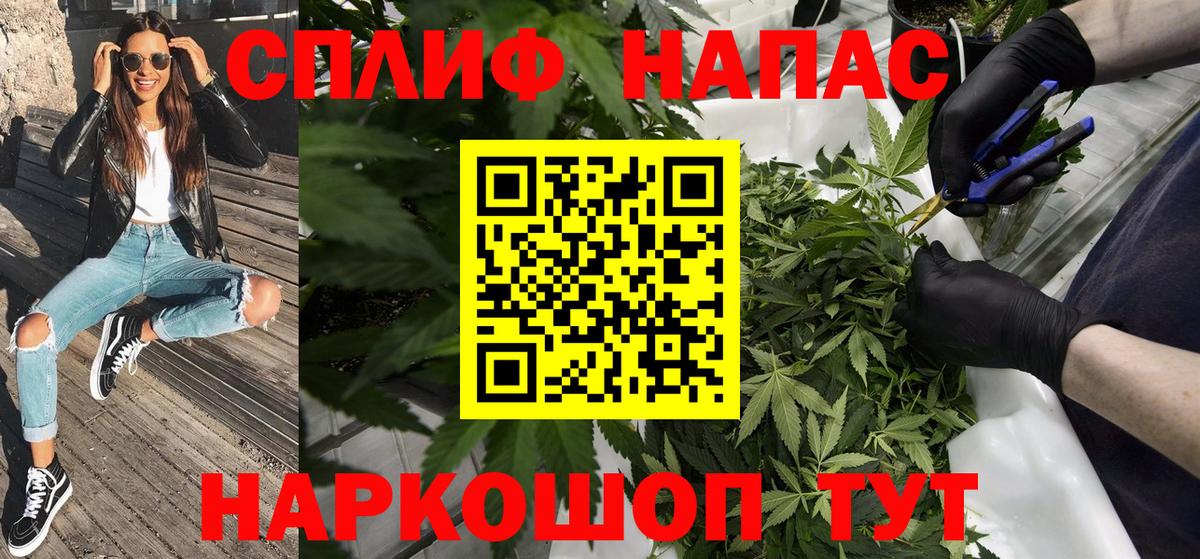 Бошки марихуана марихуана  Канабис Amnesia  Татарск  Канабис White Widow  МАРИХУАНА White Widow  Вход с VPN 